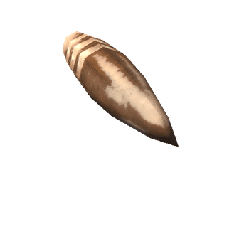 6.8 Remington SPC Bullet